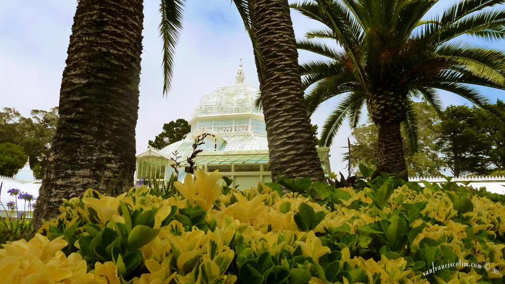 Conservatory Of Flowers